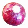 Sell Red Onion