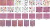 Sell 3D Nail Sticker (XF512--874)