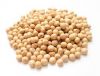 soybean seeds and soy Meal