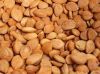 apricot kernel  seed: