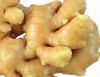 Offer Fresh  ginger