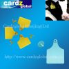 Sell FIRD ear tag for cattle