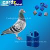 Sell RFID animal tag for pigeon and chicken and duck