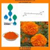 Marigold extract with super lutein powder, capsule, oil, zeaxanthin