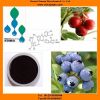 Sell organic bilberry, blueberry extract Vaccinium Myrtillus powder