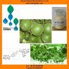 Fructus momordicae (Momordica grosvenori ) Extract with Mogrosides V