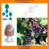 Sell grape seed extract powder with proanthocyanidin capsule