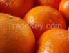 Fresh Oranges