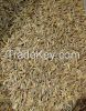 Caraway Seeds