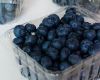 Sell Organic Blueberries