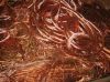 Copper Scraps Suppliers | Copper Scrap Exporters | Copper Scrap Manufacturers | Cheap Copper Scrap | Wholesale Copper Scraps | 99.99% Copper Scrap| Mulberry Copper Scrap | Cheap Copper Scrap | High Purity Copper Scrap | Bulk Copper Scraps | Copper Scrap B