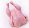 PROCESSED FROZEN HALAL WHOLE CHICKEN, FEETS, PAWS