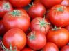 Sell Tomatoes, 