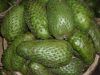 Sell Soursop