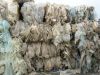 Agriculture LDPE film scrap for sale