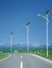 <BSET QUALITY> SELL Solar street lighting system