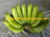 Supply fresh banana