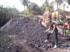 Export Indonesian Coal | Coking Coal Suppliers | Anthracite Coal Exporters | Low Sulfur Coal Traders | Steam Coal Buyers | Thermal Coal Wholesalers | Low Price Fuel Coal | Best Buy Indonesian Coal | Buy Coking Coal | Import Anthracite Coal | Thermal Coal 