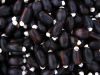 Sell Jatropha Seeds