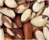 Brazillian Nuts for sale