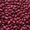 Red Kidney beans for sale