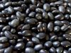 black Kidney beans for sale