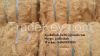 COCONUT FIBER (+84968999205)