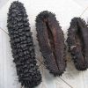 Sell sea cucumber ( prickly black Fish)