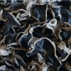 Sell dried black fungus