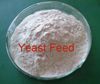 Sell Yeast for animal feed (45% protein)