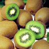 Sell Fresh Kiwi Fruits