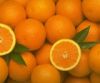 Fresh Oranges