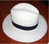 Sell for  Panama Hat in the Market