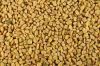 Sell fenugreek seed