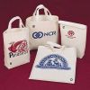 We are the one of biggest non woven bag manufacturer in China.We have