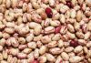 WHITE KIDNEY BEANS