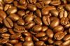 Arabica Coffee Beans