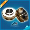 Worm gear