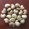 Raw Cashew Nuts Available for Export