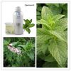 Sell Spearmint Essential Oil