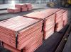Sell Copper cathode huaxiabase(at)huaxiabase.com