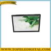 Sell 17" indoor wall mounted advertisement lcd screen, network