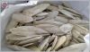 Sell Cuttle Fish Bone from Vietnam