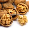 Walnut Kernels , Natural Unshelled Walnuts, Walnuts in shell or kernel