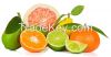 Fresh Citrus Fruits