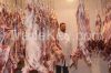 Halal Beef Carcass