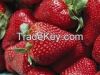 Strawberry for sale