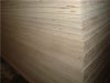 Sell white birch plywood