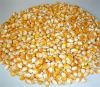 Sell yellow corn for human and animal feed