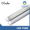 CE RoHS 2ft/3ft/4ft/5ft High Lumen LED T8 Tube Lighting (XD-T8/0.6-XW8